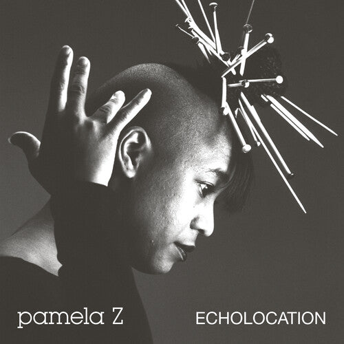 Echolocation - Natural Swirl -- Pamela Z, LP