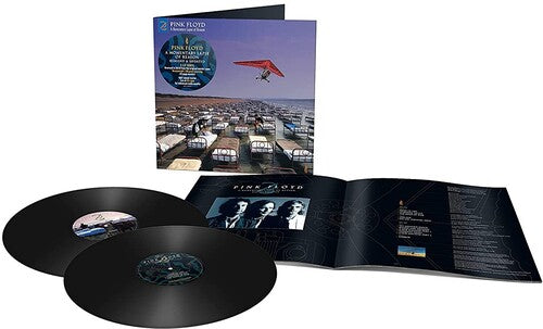 Momentary Lapse Of Reason