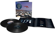 Momentary Lapse Of Reason