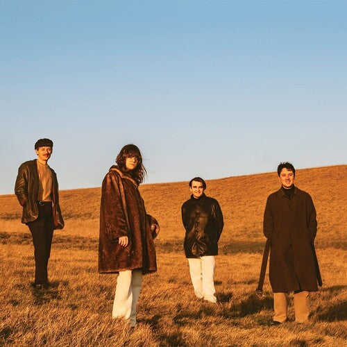 When You Walk Away -- FUR, LP