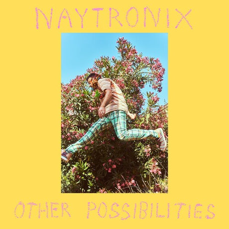 Other Possibilities, Naytronix, Cassette