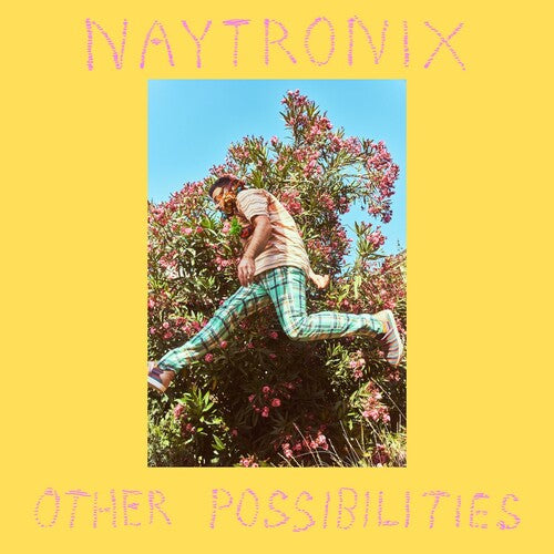 Other Possibilities, Naytronix, Cassette