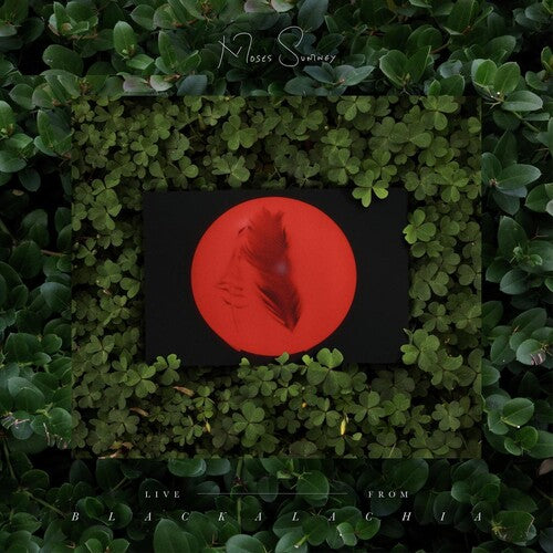 Live From Blackalachia (Clear Green) -- Moses Sumney, LP