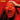 Rock Believer, Scorpions, CD