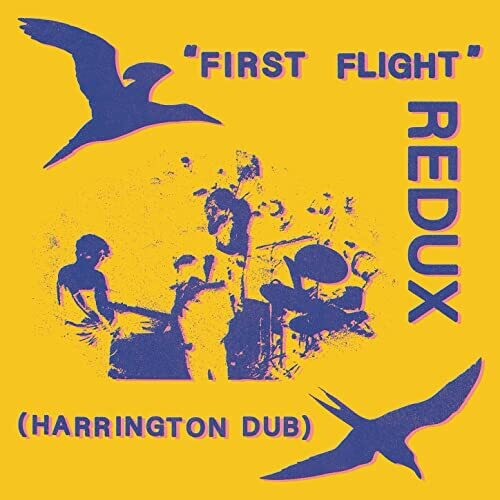 First Flight Redux (Harrington Dub), Chris Forsyth, LP