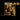 89 (Translucent Gold)