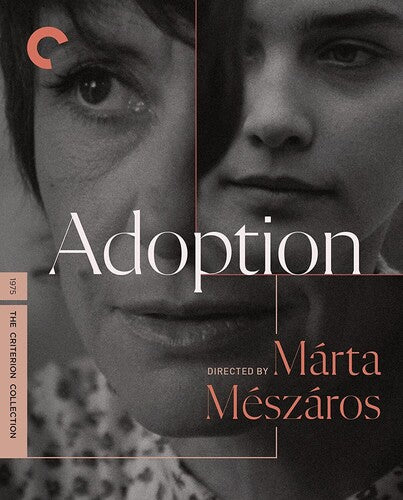 Adoption Bd