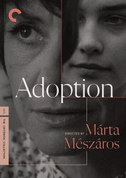 Adoption Dvd