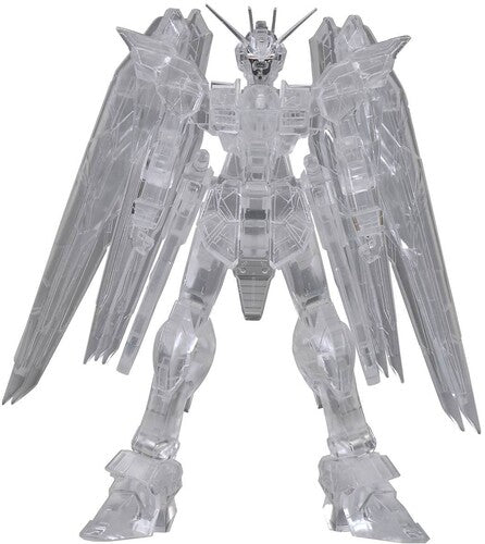Mobile Suit Gundam Seed Iternal Structure Zgmfgund