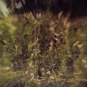 Wile B/W Remembered (Purple)