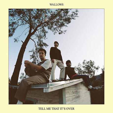 Tell Me That It's Over, Wallows, CD