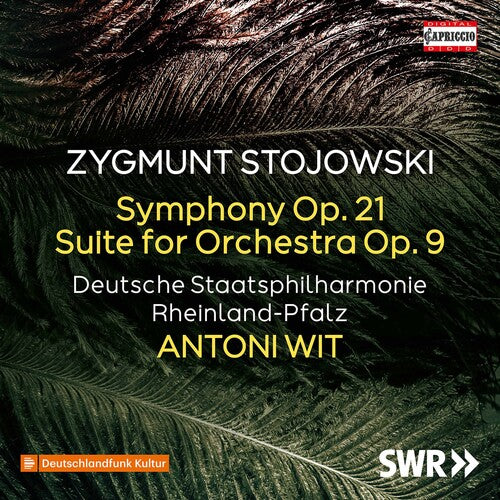 Symphony 21 -- Stojowski / Witt, CD