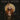 Dance Fever, Florence & Machine, LP