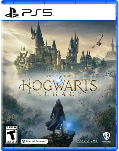 Ps5 Hogwarts Legacy