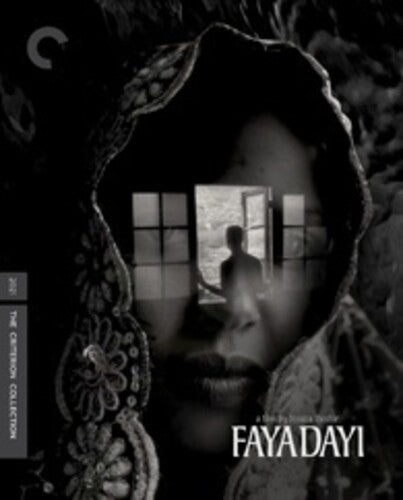 Faya Dayi Bd