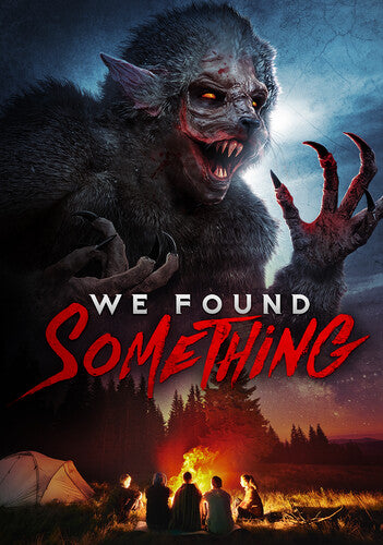 We Found Something -- DVD