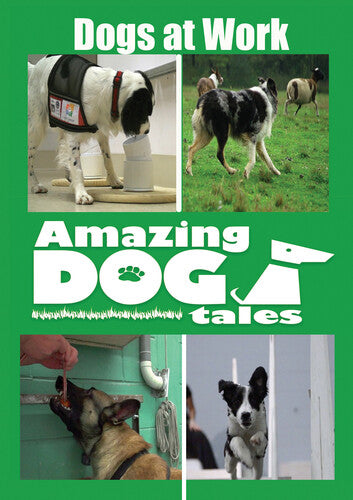Amazing Dog Tales - Dogs At Work -- DVD