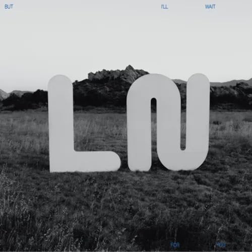 But I'll Wait For You -- Local Natives, LP