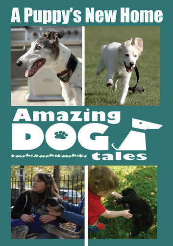 Amazing Dog Tales A Puppy's New Home -- DVD