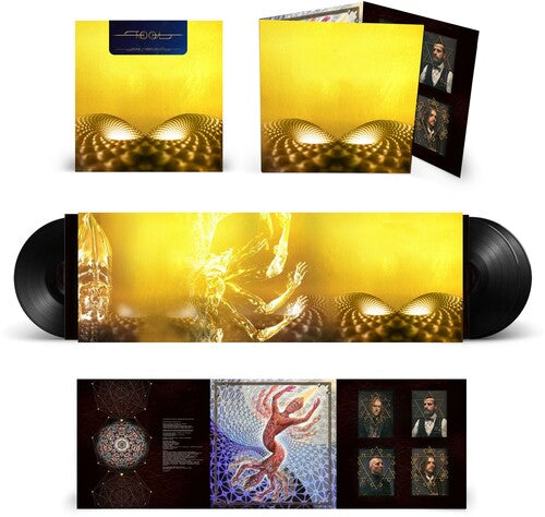 Fear Inoculum, Tool, LP
