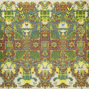 Butterfly 3000 [Welsh]