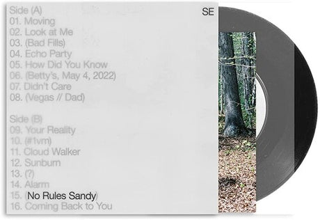 No Rules Sandy, Sylvan Esso, LP