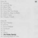 No Rules Sandy, Sylvan Esso, LP