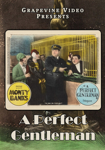 Perfect Gentleman (1928) -- DVD