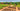 Ps4 Life In Willowdale: Farm Adventures, Ps4 Life In Willowdale: Farm Adventures, VIDEOGAMES