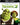 Shrek 2