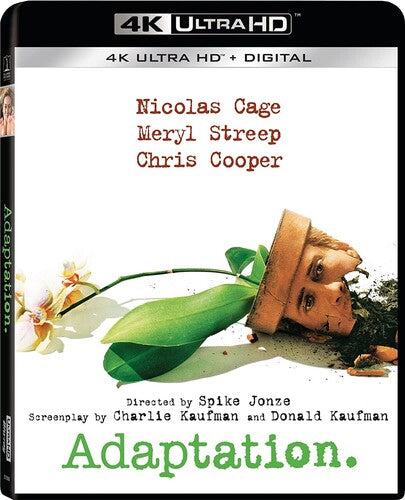 Adaptation, Adaptation, ULTRA HD