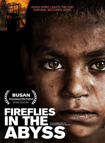 Fireflies In The Abyss -- DVD