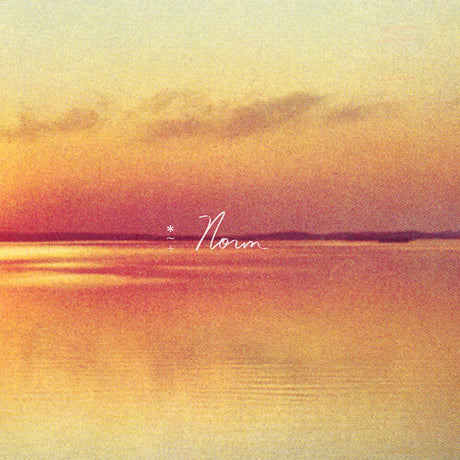 Norm - Eco Mix, Andy Shauf, LP