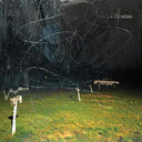 This Stupid World, Yo La Tengo, LP
