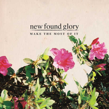 Make The Most Of It, New Found Glory, Cassette