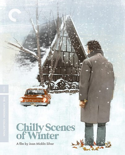 Chilly Scenes Of Winter/Bd