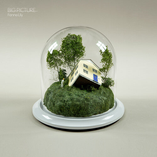 Big Picture, Fenne Lily, Cassette