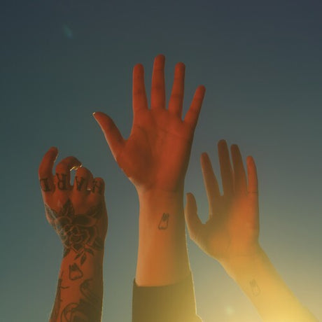 Record, Boygenius, LP