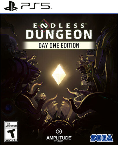 Ps5 Endless Dungeon, Ps5 Endless Dungeon, VIDEOGAMES