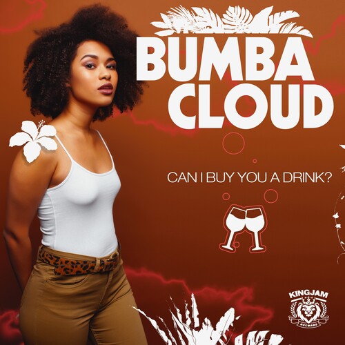 Can I Buy You A Drink? -- Bumbacloud, CD