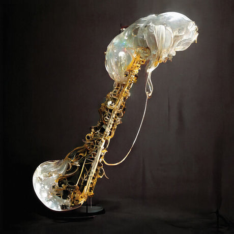 Cookup, Sam Gendel, LP