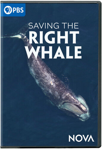 Nova: Saving The Right Whale, Nova: Saving The Right Whale, DVD