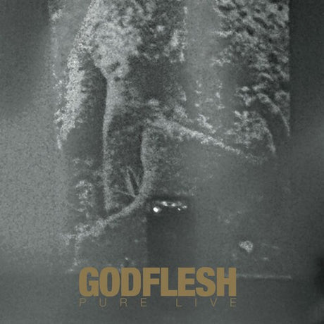 Pure Live, Godflesh, LP