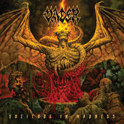 Solitude In Madness