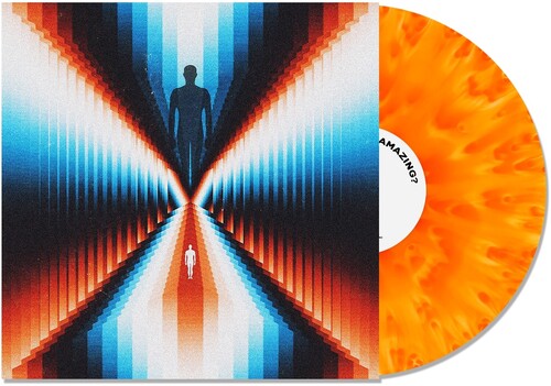 Don't You Feel Amazing? -- Trash Boat, LP