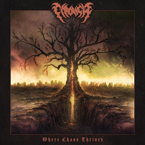 Where Chaos Thrives -- Chronicle, CD