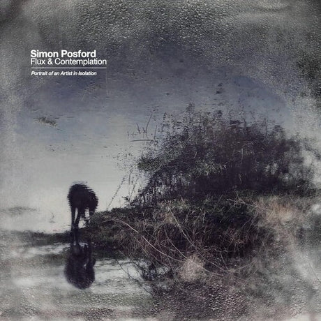 Flux & Contemplation: Portrait Of An Artist In, Simon Posford, LP