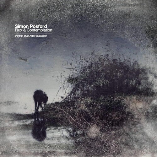 Flux & Contemplation: Portrait Of An Artist In, Simon Posford, LP