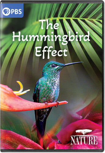 Nature: The Hummingbird Effect, Nature: The Hummingbird Effect, DVD