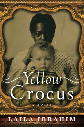 Yellow Crocus by Ibrahim, Laila